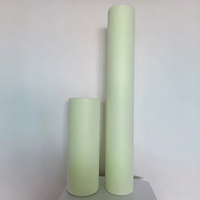 Film imprimable DTF réfléchissant et phosphorescent de 13 pouces en gros, rouleau A3 pour vêtements de sport, rouleau d'impression par transfert thermique de 30 cm x 60 cm, CE