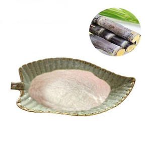 Produsen Menyediakan Bubuk Gula Tebu yang Larut dalam Air, Bubuk Jus Tebu, Bubuk Tebu dalam Stok Grosir - Product Image 1