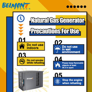 เครื่องกำเนิดไฟฟ้าสำหรับบ้านขนาด 13KW 14KW ใช้ก๊าซธรรมชาติ รุ่น BPD15REG - Product Image 2