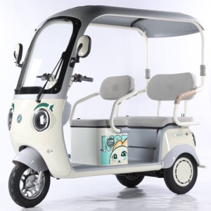 Pedicab Tricycle Scooter 60V Lead-Acid Battery 3 Speed 3 <b>Wheels</b> Carbon Steel Passenger Outdoor Use Brushless - Product Image 3