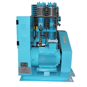 315bar 4568psig Helium Oxygen Hydrogen Gas Compressor H2 N2 100% Oil-free Diaphragm Compressors