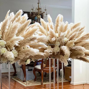 Vente chaude 15 tiges naturelles séchées blanches petites fleurs séchées <span class=keywords><strong>pampas</strong></span> blanchies herbe de pampa pour la décoration de la <span class=keywords><strong>maison</strong></span> de mariage - Product Image 5