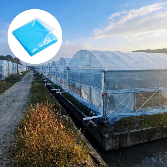 Blue PE/EVA/PO Greenhouse Film 200 Micron with UV 3-6 Year Lifespan for Commercial Agricultural Farming