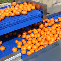 Roestvrijstalen Automatische Groente Fruit Lift Aangepaste Voedselverwerkende Machine Ts T30