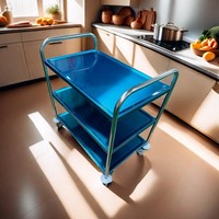 Chariot mobile Sunmax à 2 niveaux en plastique pour aliments avec roues, fournitures pour hôtels et restaurants, prix du fabricant