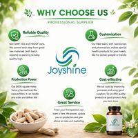 Gummies de créatine en gros, véganes, à la pectine, créatine monohydrate, bonbons mous pour la gym et le fitness, approvisionnement transfrontalier