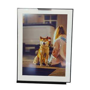 Pantalla Digital Inalámbrica a Color de Tinta Electrónica de 28.5 Pulgadas para Interiores, Clasificación IP65, Opción OEM, CMS Basado en la Nube, Conectividad IoT, Tienda Minorista - Product Image 6