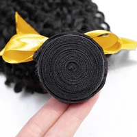 Extensions de cheveux Foxen 10a 12a Cuticules alignées Cheveux vierges Fournisseur en gros Cheveux humains brésiliens de haute qualité