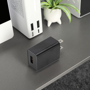 Настенное электрическое зарядное устройство OEM ODM с 5V 1A 2A 5W 10W USB адаптером питания AC DC OTP OVP Protection - Product Image 2