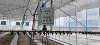Système d'arrosage mobile pour serre et jardin, Irrigation pour horloger