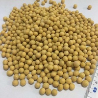 Norme internationale de soja chinois en vrac soja jaune avec prix direct d'usine