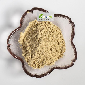 Hữu Cơ Gynostemma pentaphyllum chiết xuất bột gypenosides 98% - Product Image 2