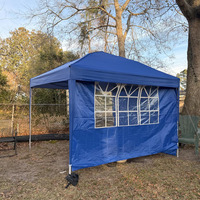 Tente instantanée 10x10 avec parois latérales en maille, auvent portable pour la protection contre les insectes, camping et pique-niques en plein air