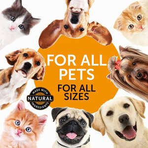 Penjualan langsung dari pabrik cairan suplemen gula darah hewan peliharaan tetesan cairan membantu menjaga tingkat gula darah Normal stabil - Product Image 6