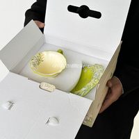 Ensemble tasse et soucoupe à café en céramique, style luxe léger rétro, motif fleur carillon 3D, haut de gamme, pour thé de l'après-midi, cadeau idéal, Chaozhou