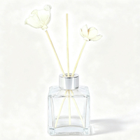 Vente en gros 50ml 100ml Bâtonnets de roseau en rotin Diffuseur de parfum d'intérieur Diffuseur de roseau vide Bouteille en verre