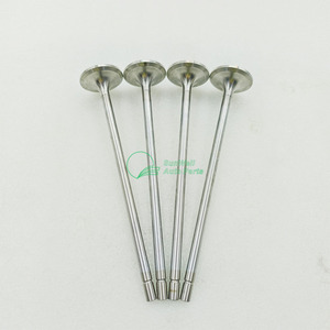 Válvula de admisión de piezas de motor S60 Dieces de alta calidad 8929589 - Product Image 4