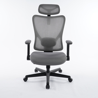 Chaise de bureau ergonomique moderne personnalisable avec design élévateur, hauteur réglable, structure en plastique, pivotante en aluminium, pour bureau à domicile et chambre