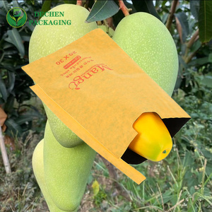 Taiwan Mango Paper Bag Protection In Sri Lanka Taiwan Mango Paper Bag Protection In Sri Lanka