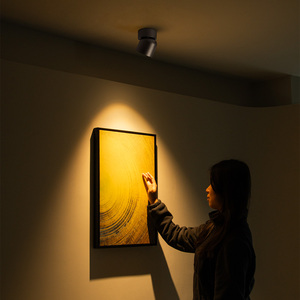 Aisilan Projet de boutique d'hôtel 7w 15w Dimmable Adjustable Anti Glare <span class=keywords><strong>Spot</strong></span> Down Lights Ceiling COB Surface Mounted <span class=keywords><strong>Led</strong></span> Downlight - Product Image 3