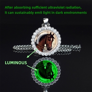 Bijoux de <span class=keywords><strong>cheval</strong></span> lumineux strass verre dôme pendentif en cristal personnalisation personnalisée <span class=keywords><strong>collier</strong></span> en argent - Product Image 3