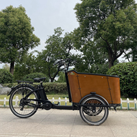 250W néerlandais cargo vélo bakfiets remorque vélo électrique vélo cargo tricycle trois roues chargement frontal boîte vélo de Chine