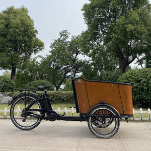 250W néerlandais cargo vélo <span class=keywords><strong>bakfiets</strong></span> remorque vélo électrique vélo cargo tricycle trois roues chargement frontal boîte vélo de Chine - Product Image 5