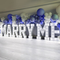 Lettres lumineuses géantes personnalisées « Marry Me » de 1,2 m, étanches pour extérieur, lettres de marquee, décoration de mariage, enseigne à ampoules LED, chiffres