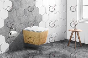 WC suspendu mural sans eau pour salle de bain, sanitaires - Product Image 4