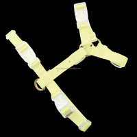 Maßgefertigte Charms Moodies Gepolstertes Plastik Verstellbares Wasserdichtes PVC-Nylon Anti-Zug H-förmiges Hundegeschirr-Set Großhandel Mode