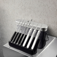 Kit professionnel de traitement de l'acné avec outil Pimple Popper Extracteur de comédons Pince à épiler de différentes formes Le tout dans un boîtier en métal