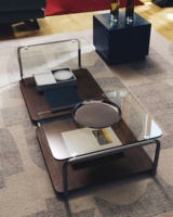 Table basse rectangulaire moderne avec plateau en verre trempé, base en MDF placage noyer et pieds en acier inoxydable, prix d'usine