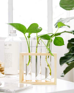 Station de propagation murale en verre, vase moderne pour bourgeons de fleurs sur support en bois, terrarium de table avec 3 tubes à essai - Product Image 4