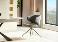 Chaise de salle à manger rotative à 360 degrés de conception moderne en métal de plusieurs couleurs pour la cuisine, la salle à manger et l'hôtel.