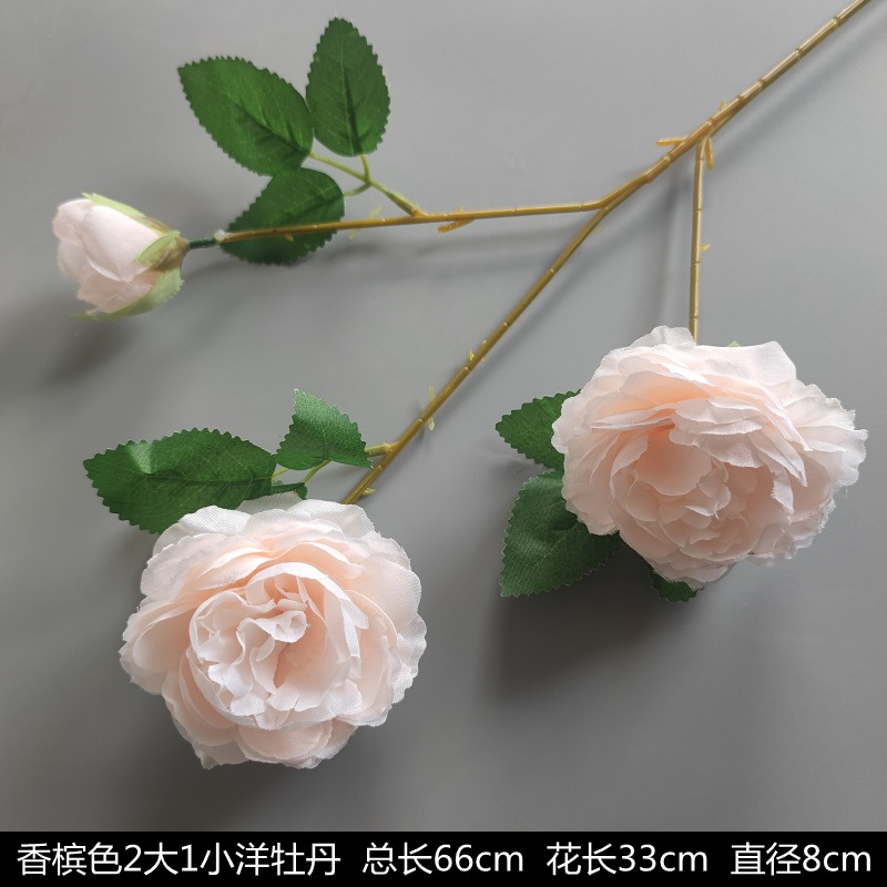 ดอกโบตั๋นใหญ่ 2 ดอก และดอกโบตั๋นเล็ก 1 ดอก