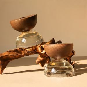 Bouteille en verre de 215 ml avec pot pour plantes succulentes, bouteille en verre multifonction vide pour diffuseur de parfum et décoration - Product Image 6