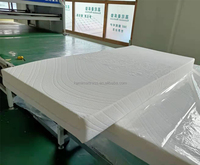 Matelas métallique pliant et Portable, mobilier de chambre à coucher d'hôtel, lit en métal avec matelas en mousse
