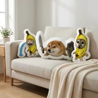 Coussin en peluche personnalisé pour animaux de compagnie, motif chat moche, style célébrité en ligne, à faire soi-même, avec rembourrage en coton PP, bord blanc, fabriqué en Chine, sans hauteur spécifiée