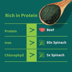 Poudre de chlorella naturelle OEM Protéines et vitamines végétaliennes La poudre de chlorophylle soutient le système immunitaire et la fonction hépatique pour garder la jeunesse - Product Image 5