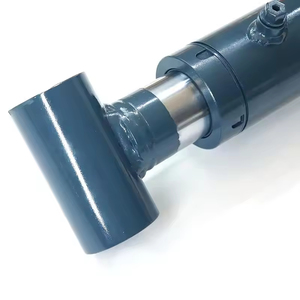 支持非标定制高空作业平台升降液压动臂油缸 - Product Image 5
