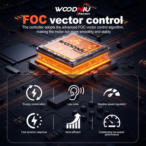 Kit de Motor y Controlador Actualizado para Surron Light 2025, Motor de 36kw y Controlador de 72v para Surron X Lbx - Product Image 3