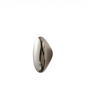 Pomo Ovalado de Acero Inoxidable para Muebles, Tirador Minimalista para Puertas de Armarios, Hogares, Hoteles y Villas - Product Image 1
