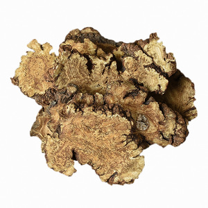 Extracto de Ligusticum chuanxiong |   Vasodilatador Natural y Soporte para la Salud Circulatoria para Suplementos Dietéticos, Fórmula para la Salud del Corazón - Product Image 1