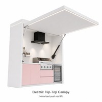 Dapur Luar Ruangan Grosir dengan Kanopi Motor, Grill Gas Arang, Penghisap Asap, Kulkas Minuman, Rangka Aluminium, Harga Pabrik