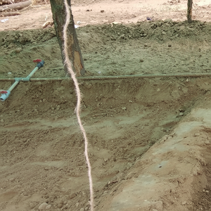 Vermicompost écologique pour la croissance des plantes Meilleur engrais organique avec des avantages naturels 2025 - Product Image 1