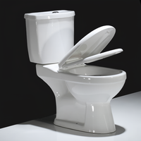 WC à double chasse allongé en deux parties avec cuvette en céramique, à poser au sol, écologique, facile à nettoyer, siphon en P, design moderne