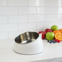 Bol pour chat surélevé léger et portable anti-vomissement, ergonomique, rond, pour nourriture et eau, durable pour les chats d'intérieur et les petits chiens