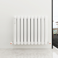 SLLS Nouveau Radiateur Colonne en Acier Décoratif 60 cm, Montage Vertical ou Horizontal, Chauffage à Eau, Design Moderne pour Résidence