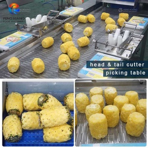 สายการผลิตสับปะรดอบแห้งกึ่งอัตโนมัติ เครื่องปอกเปลือก ตัด และอบแห้งสับปะรด สายการผลิตผลไม้อบแห้ง - Product Image 4