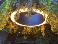 Décoration artistique moderne LED gazon artificiel suspendu au plafond fausses plantes PE matériel vivant pour l'extérieur et les bureaux pour les hôtels